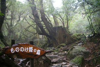 もののけ姫の森