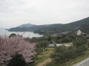 小豆島オリーブ公園