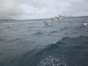 よーく拡大して見てください。