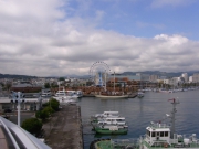 中央に観覧車が見えています