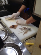 函館市場のイカ釣りにて