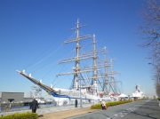 横浜港新港埠頭に停泊中の帆船「日本丸」