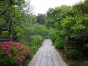 東慶寺の花の回廊