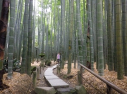報告寺の竹庭園