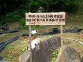 郵船トラベル20周年記念黒島来島記念樹看板