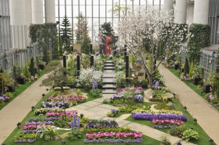 奇跡の星の植物館（ｲﾒｰｼﾞ）