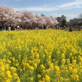 都内・蘆花公園