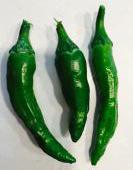 今年、初収穫です