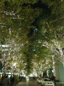 丸の内通りもキラキラ