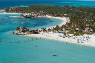 もう少し拡大した写真