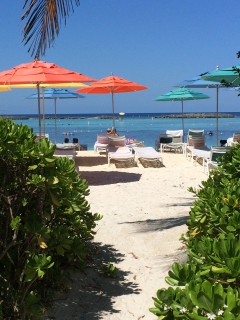 ビーチへ続く道